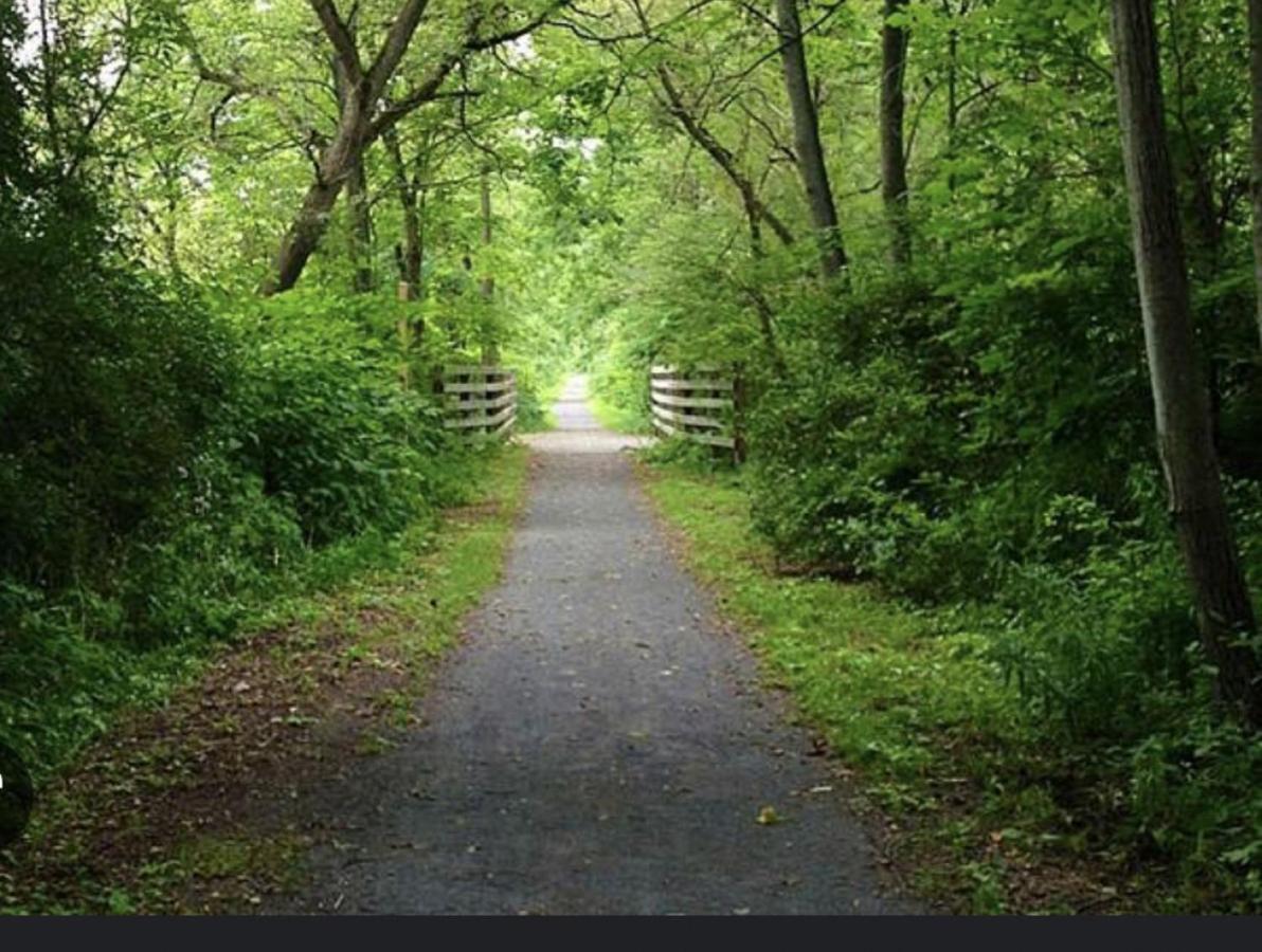 Walk To Parks! Dining & Lake! Close To Hike Trails! Watkins Glen Ngoại thất bức ảnh